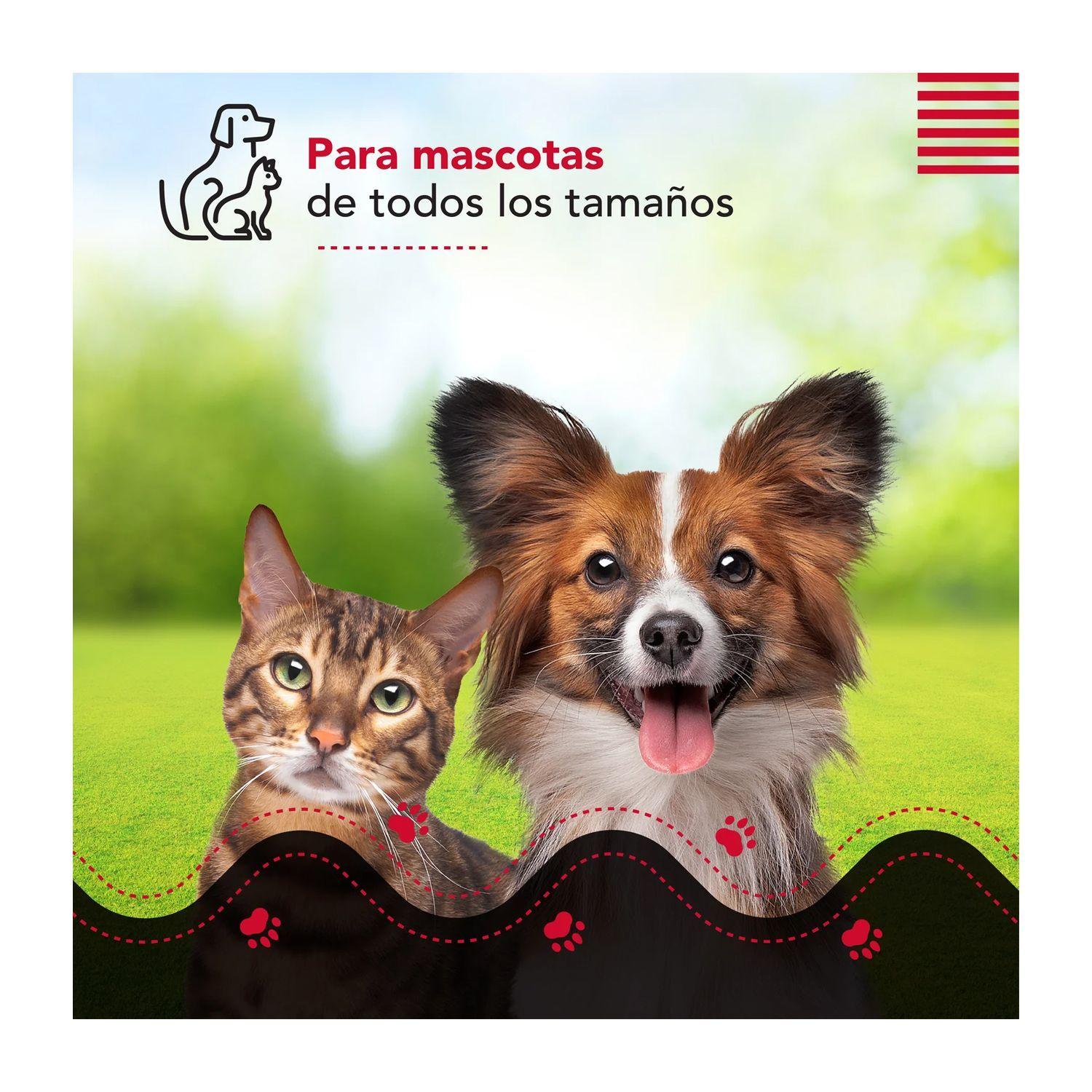 Cepillo y Aspiradora para Mascotas Thorben USB Perros Gatos-3