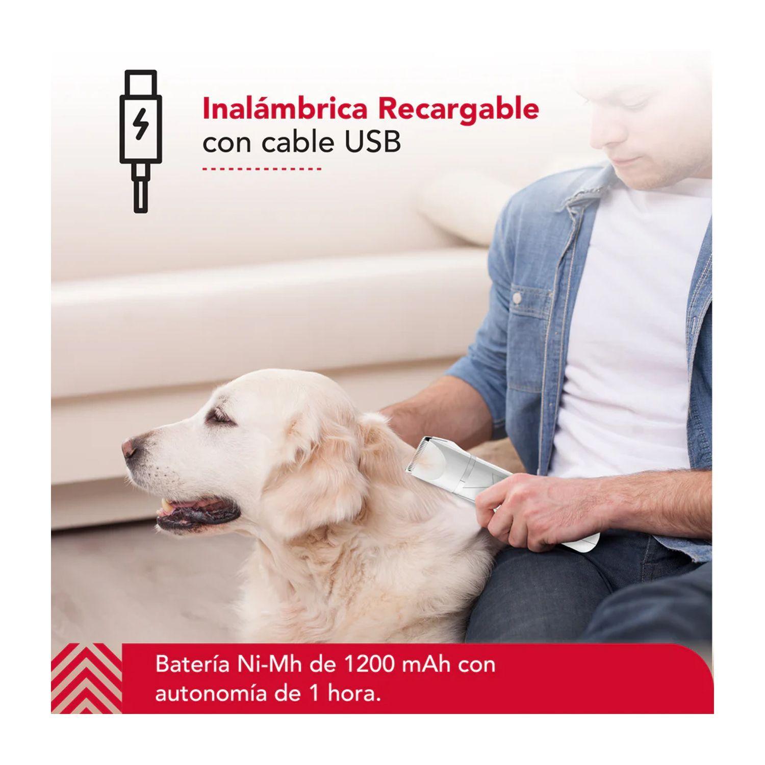 Cortapelo Mascota Thorben Cordless Usb Pet Trimmer 4 En 1-3