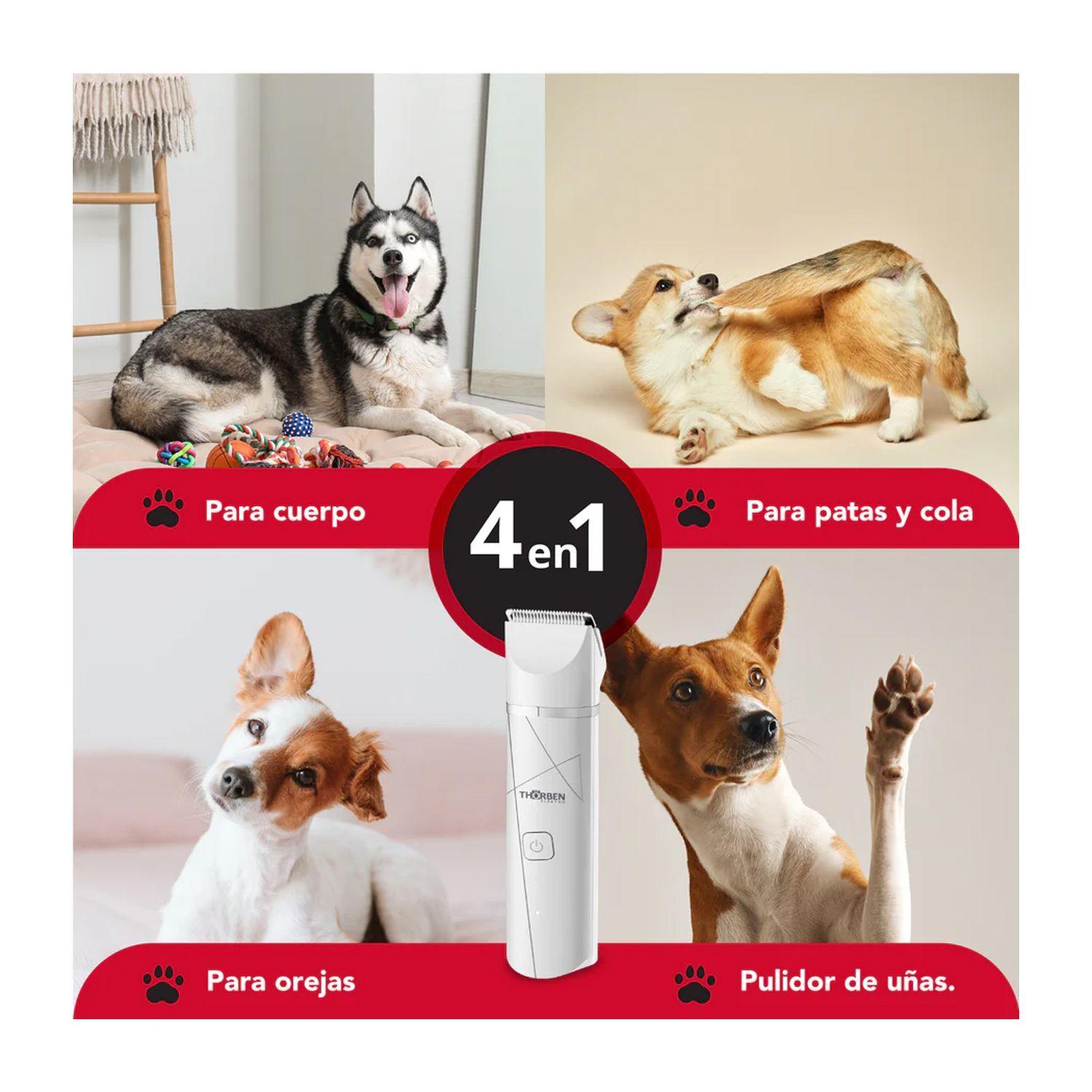 Cortapelo Mascota Thorben Cordless Usb Pet Trimmer 4 En 1-4