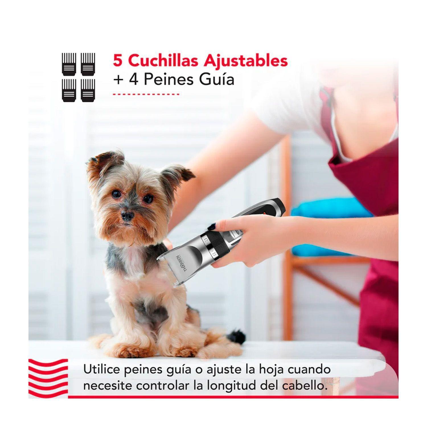 Máquina Corta Pelo Thorben Cordless Usb Pet Clipper-5