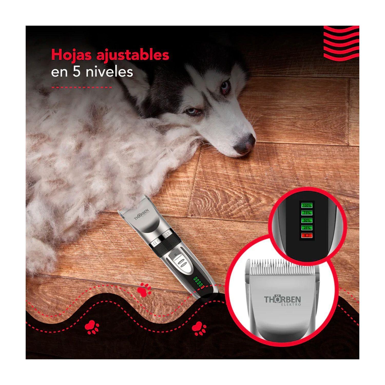 Máquina Corta Pelo Thorben Cordless Usb Pet Clipper-7