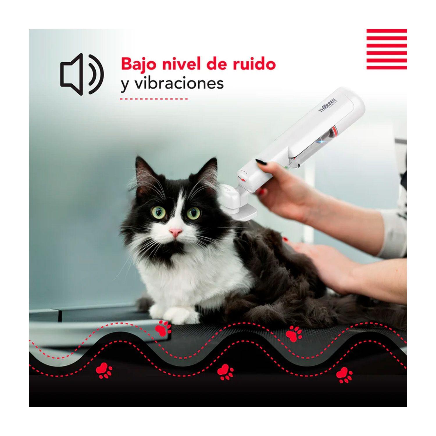 Cepillo y Aspiradora para Mascotas Thorben Usb Handy Pet Vac-3