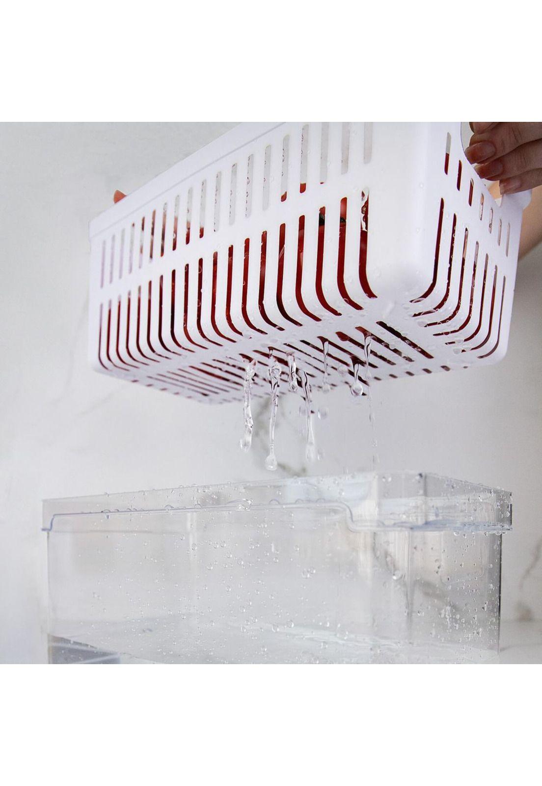 Organizador De Refrigerador Con Tapa Clear Fresh 30 x 15 x 13 Cm-2