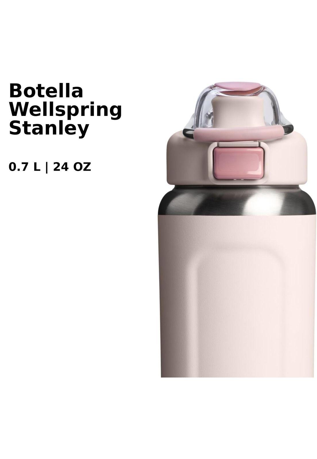 Botella Wellspring Rose Quartz | 710 ml-3