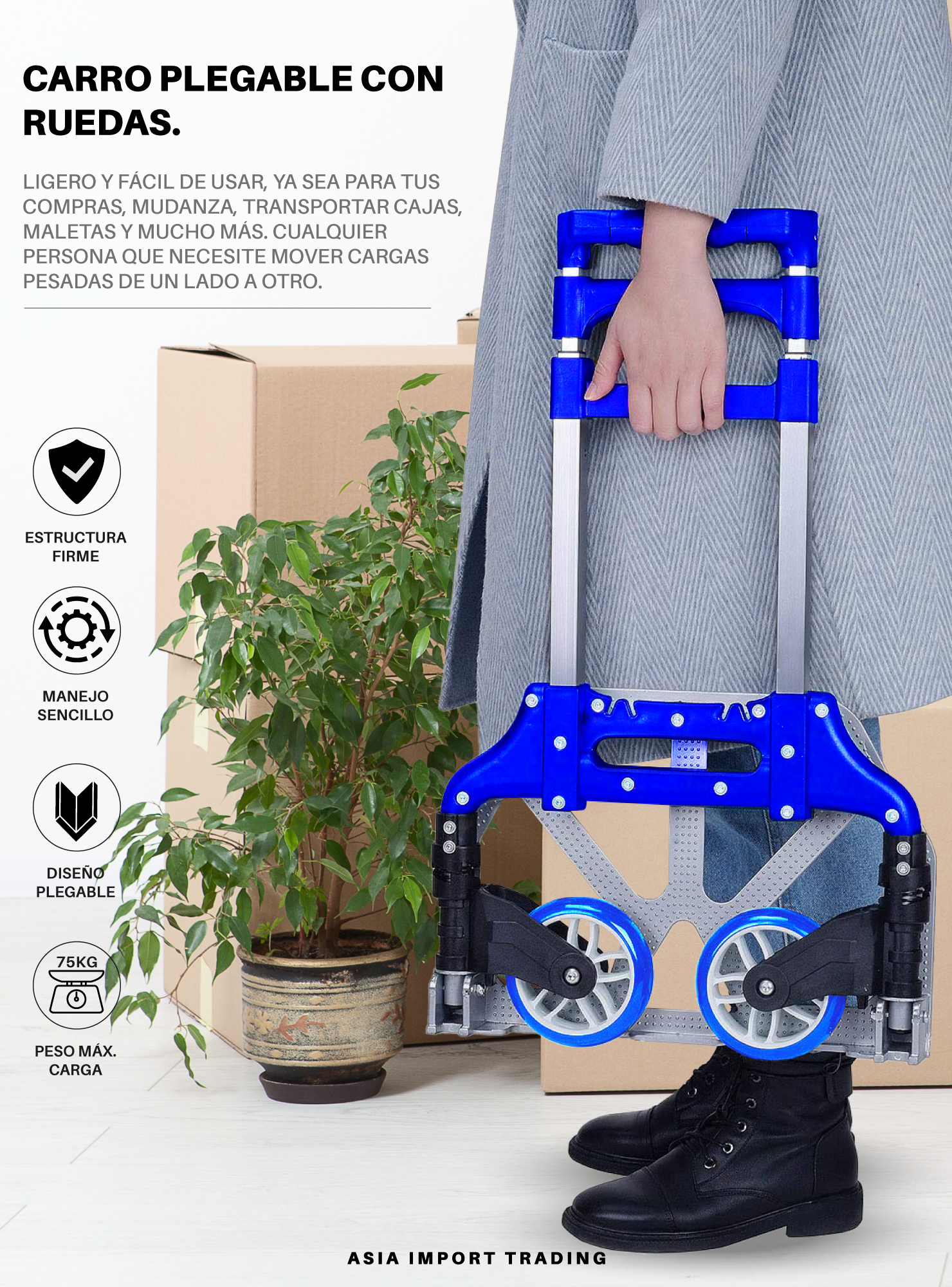 Carro de carga plegable Azul-1