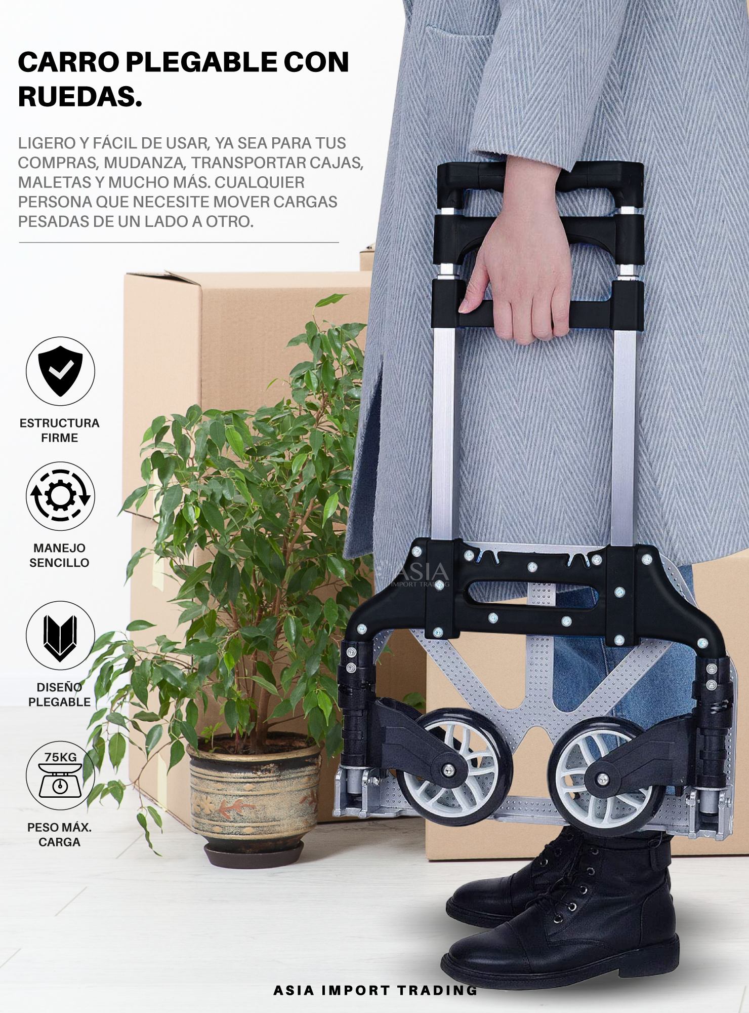 Carro de carga plegable Negro-1