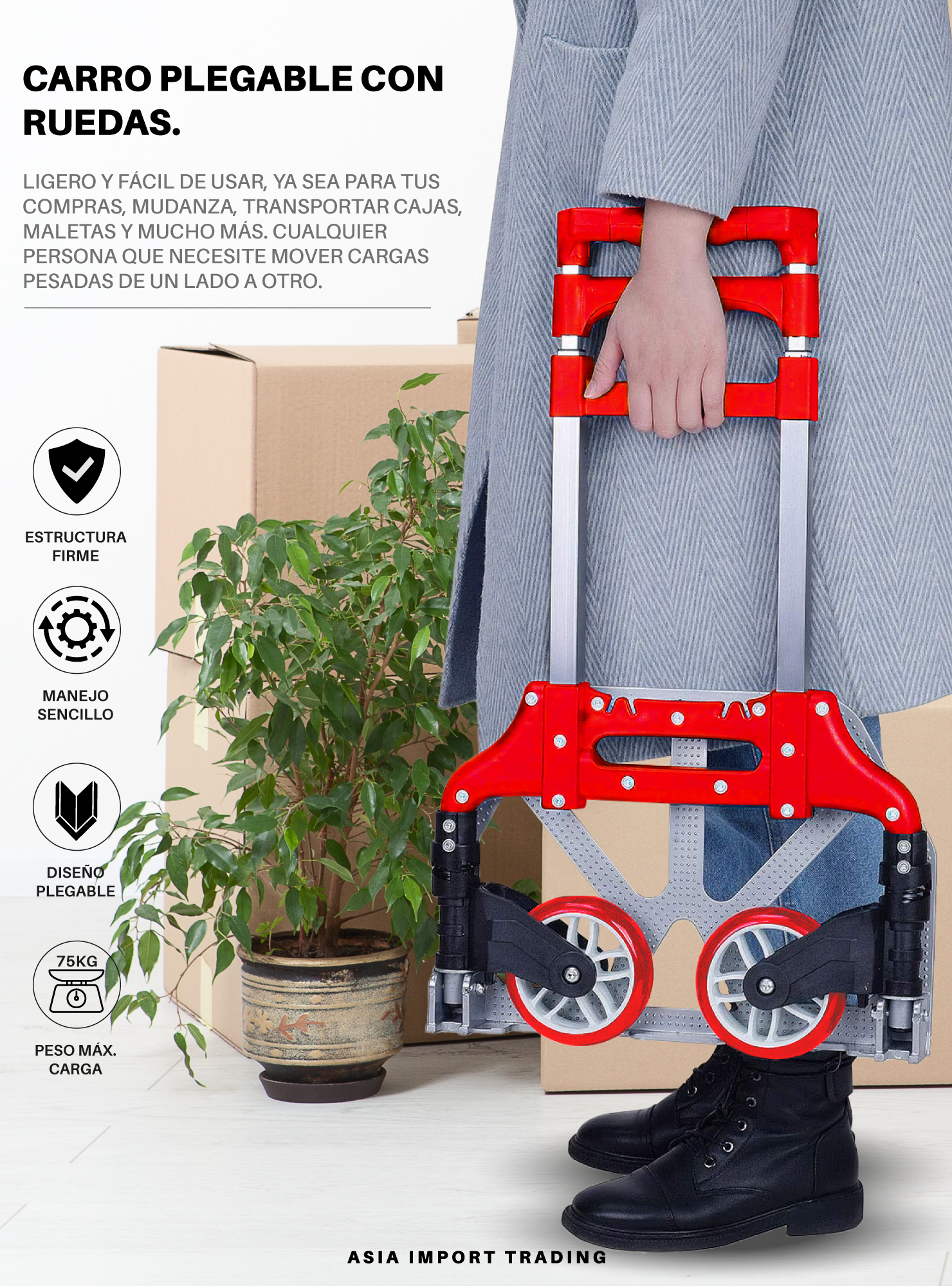 Carro de carga plegable Rojo-1
