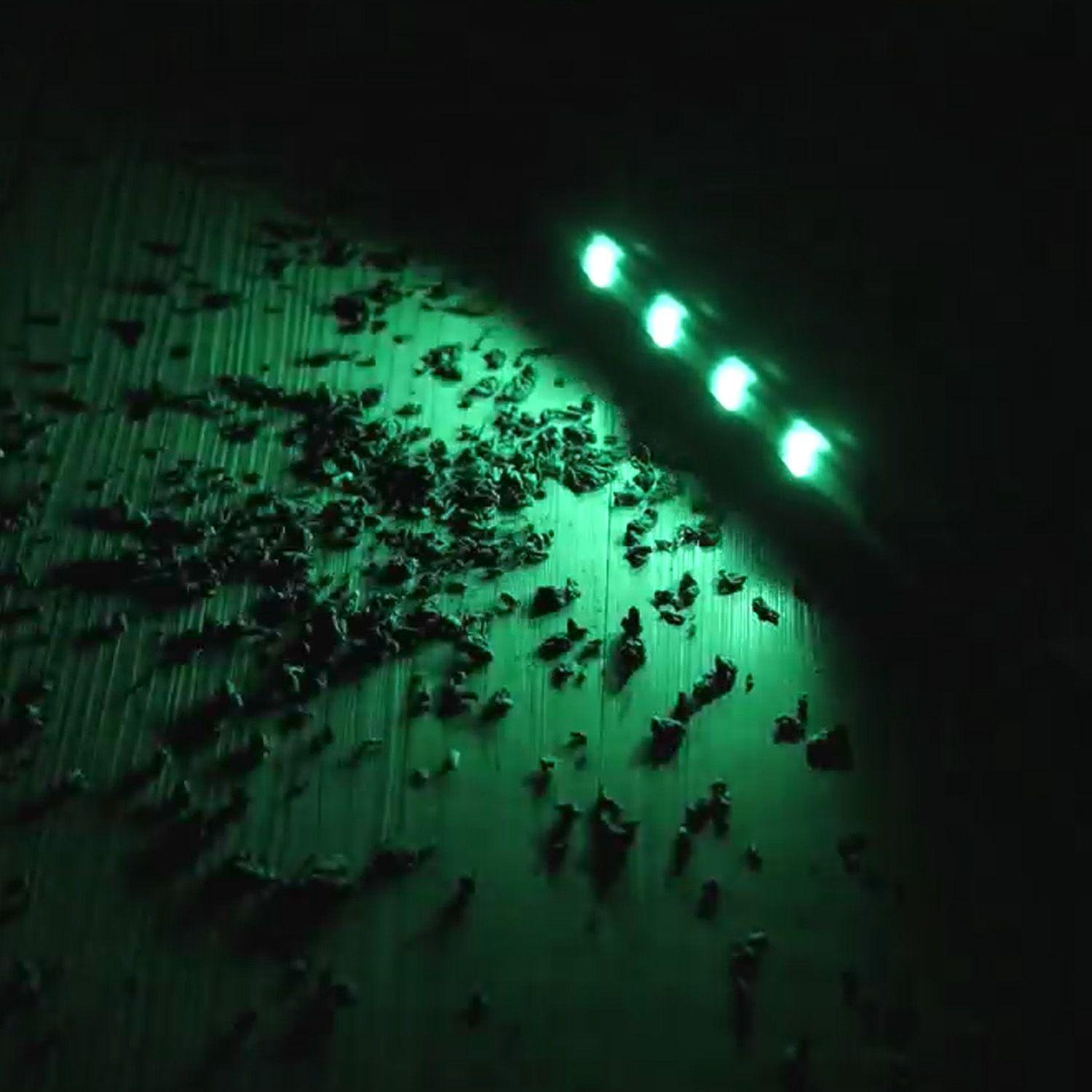 Aspiradora y trapeador inalámbica M500 Pro Storm+-6