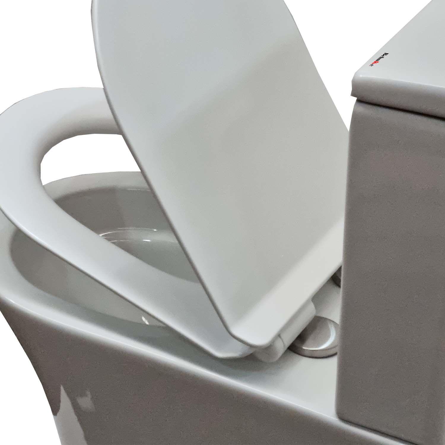 WC Dual Piso 250mm Sacramento-2