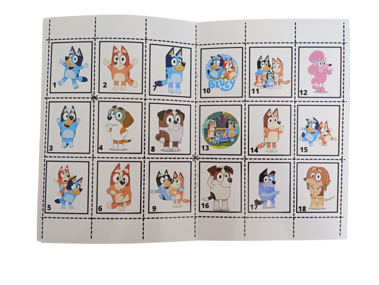 Libro Para Pintar Bluey con stickers-4