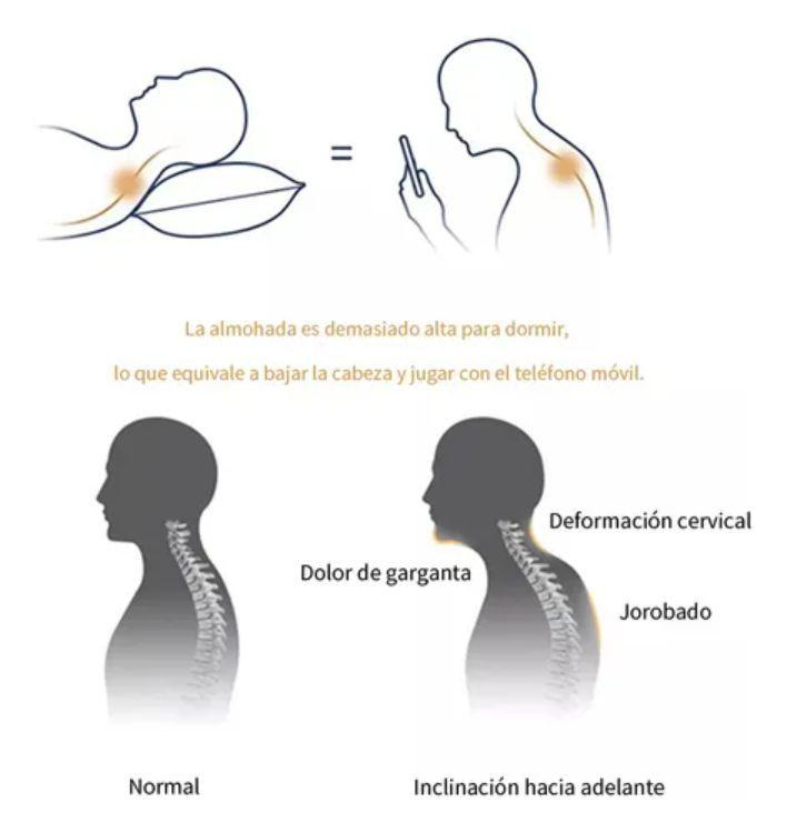 Almohada Ortopédica Cervical Curva Cojín Brazo Libre Presión-2