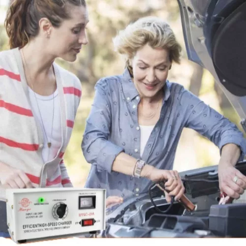 Cargador De Batería Para Automóvil 12 Volts 20 Amperes-3