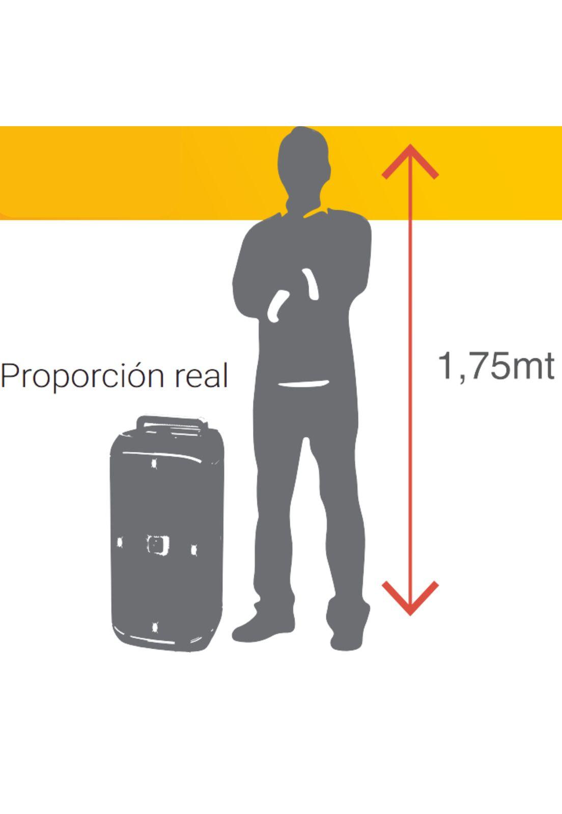 Parlante Karaoke Flaming BIG BASS Dual 8" MicWireless 60WRMS-7