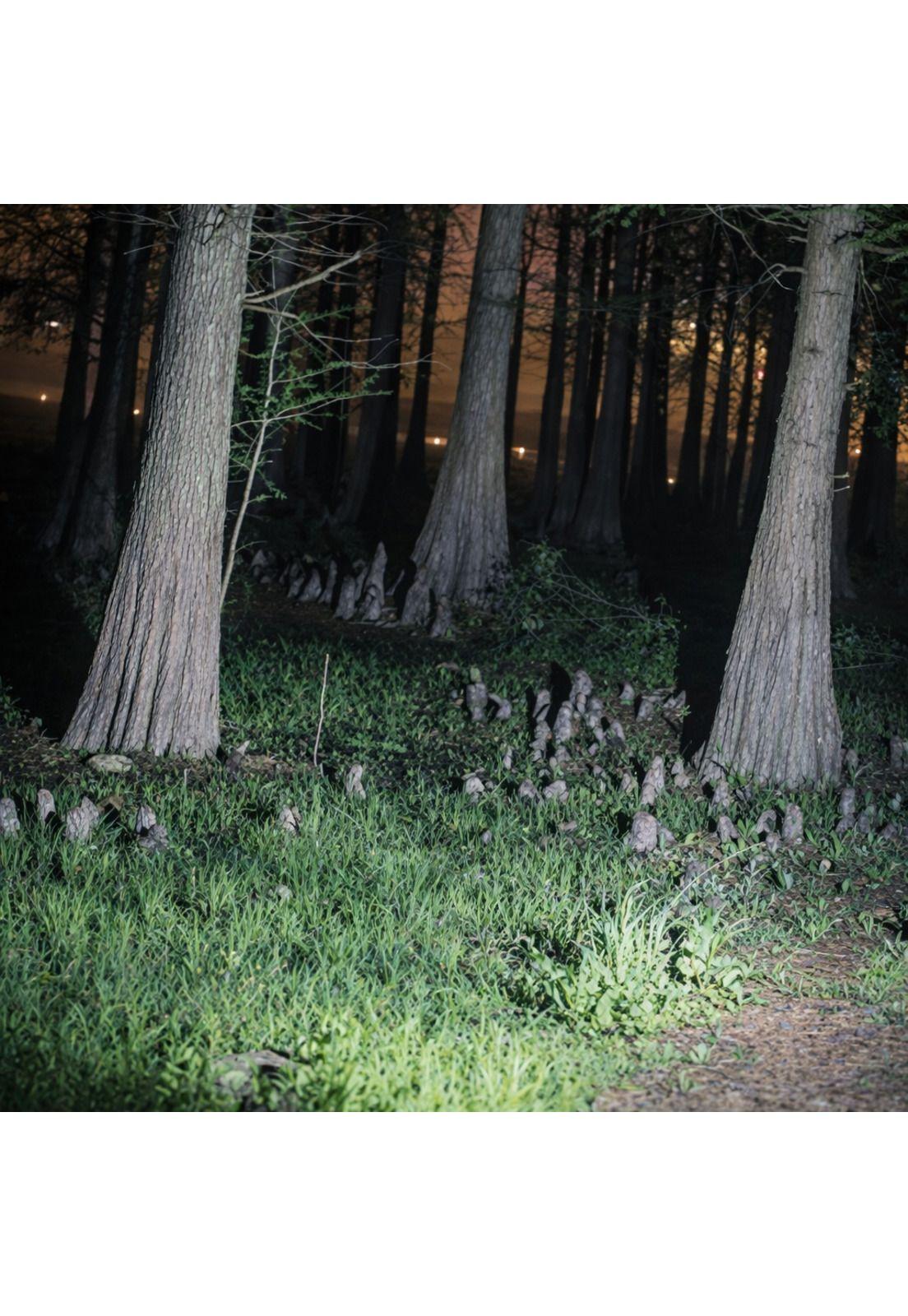 Linterna de Cabeza Multiusos Recargable de alta Luminosidad-7
