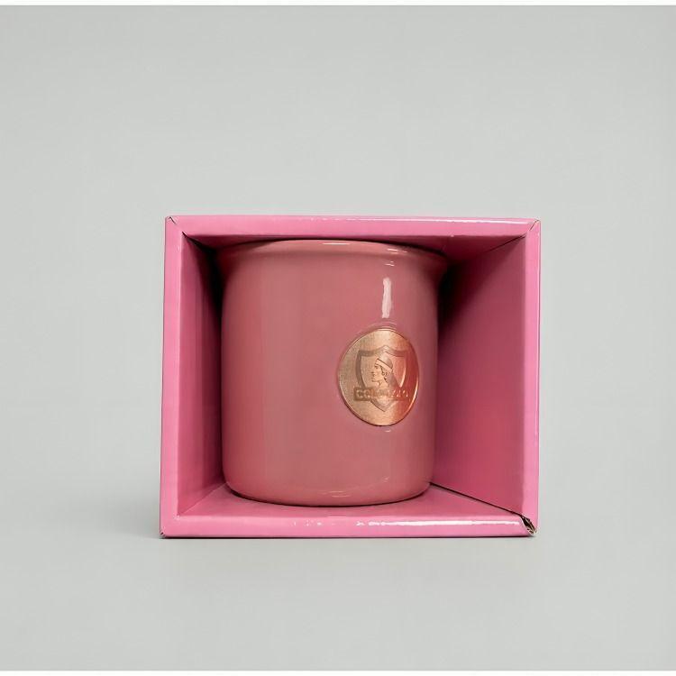 TAZON LOGO PINK 350 ML COLO COLO-3