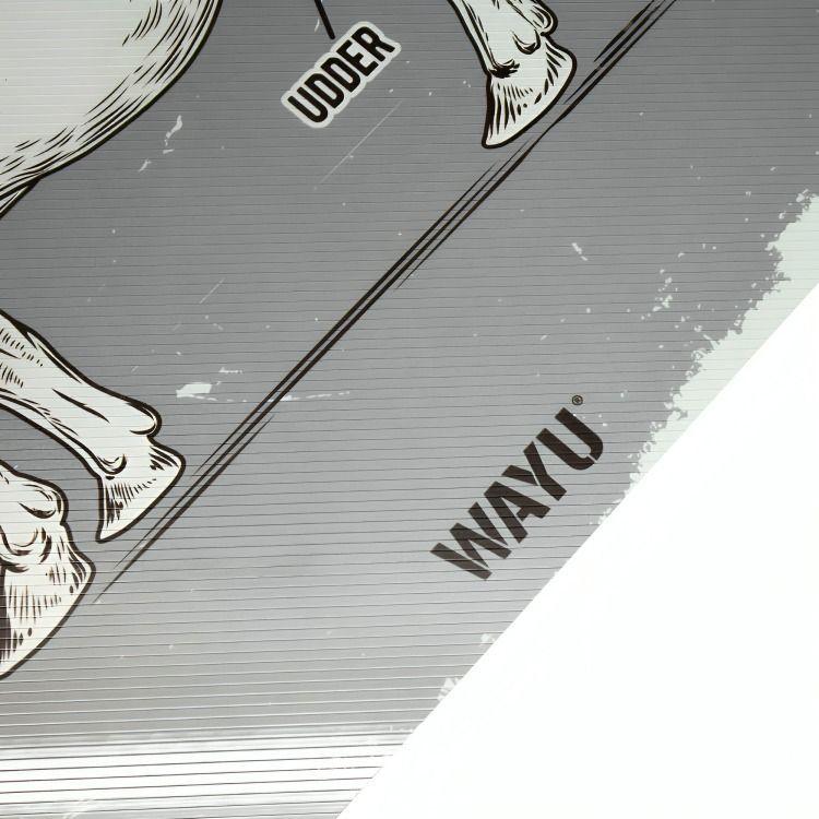 INDIVIDUAL PVC CORTES GREY WAYU-2