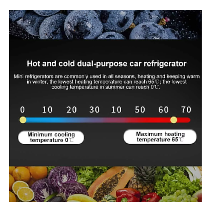 Mini Refrigerador Portatil Auto Casa 12v 220v 10 Litros-5