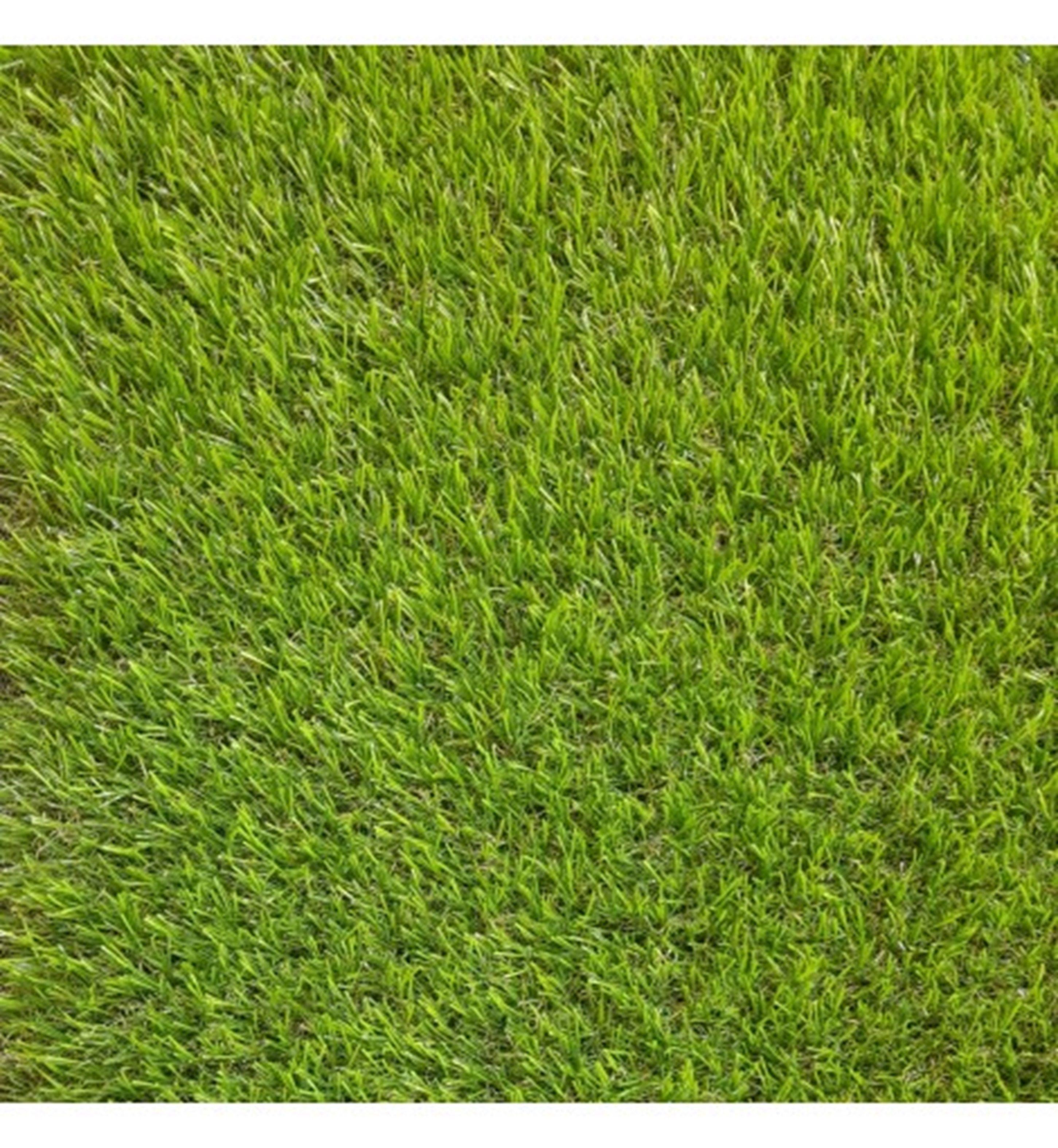 Pasto Sintetico 40mm Rollo 2x10 Metros Signet-0