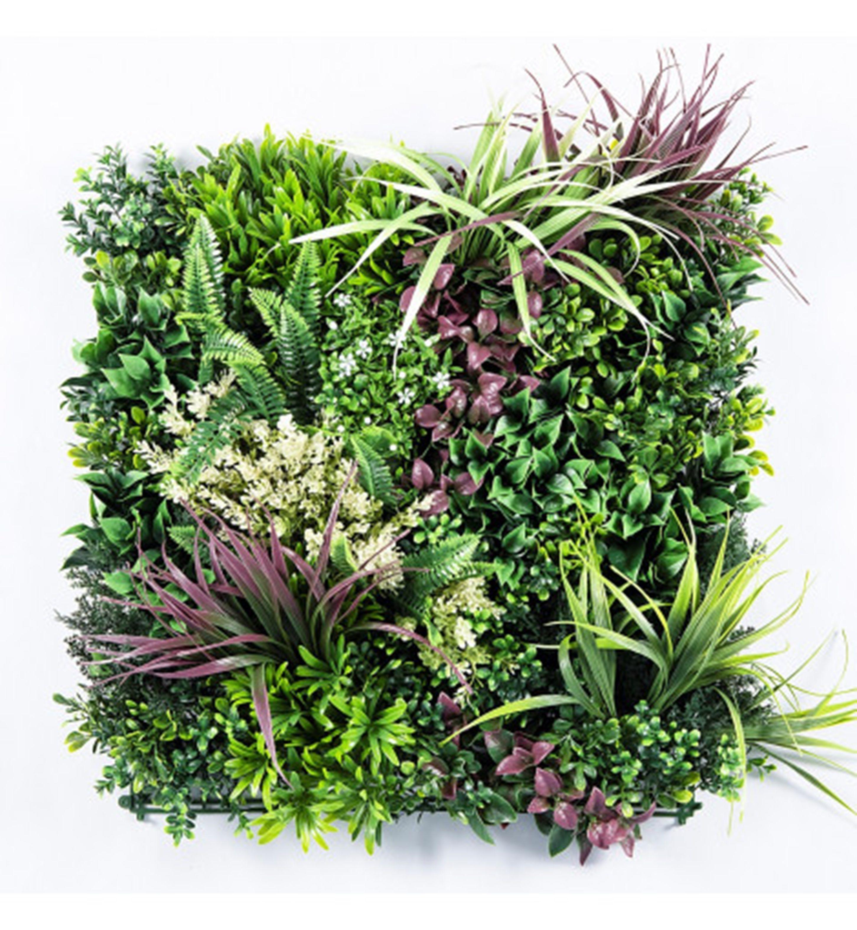 Jardin Vertical Calfulco 50x50 cm Signet-0