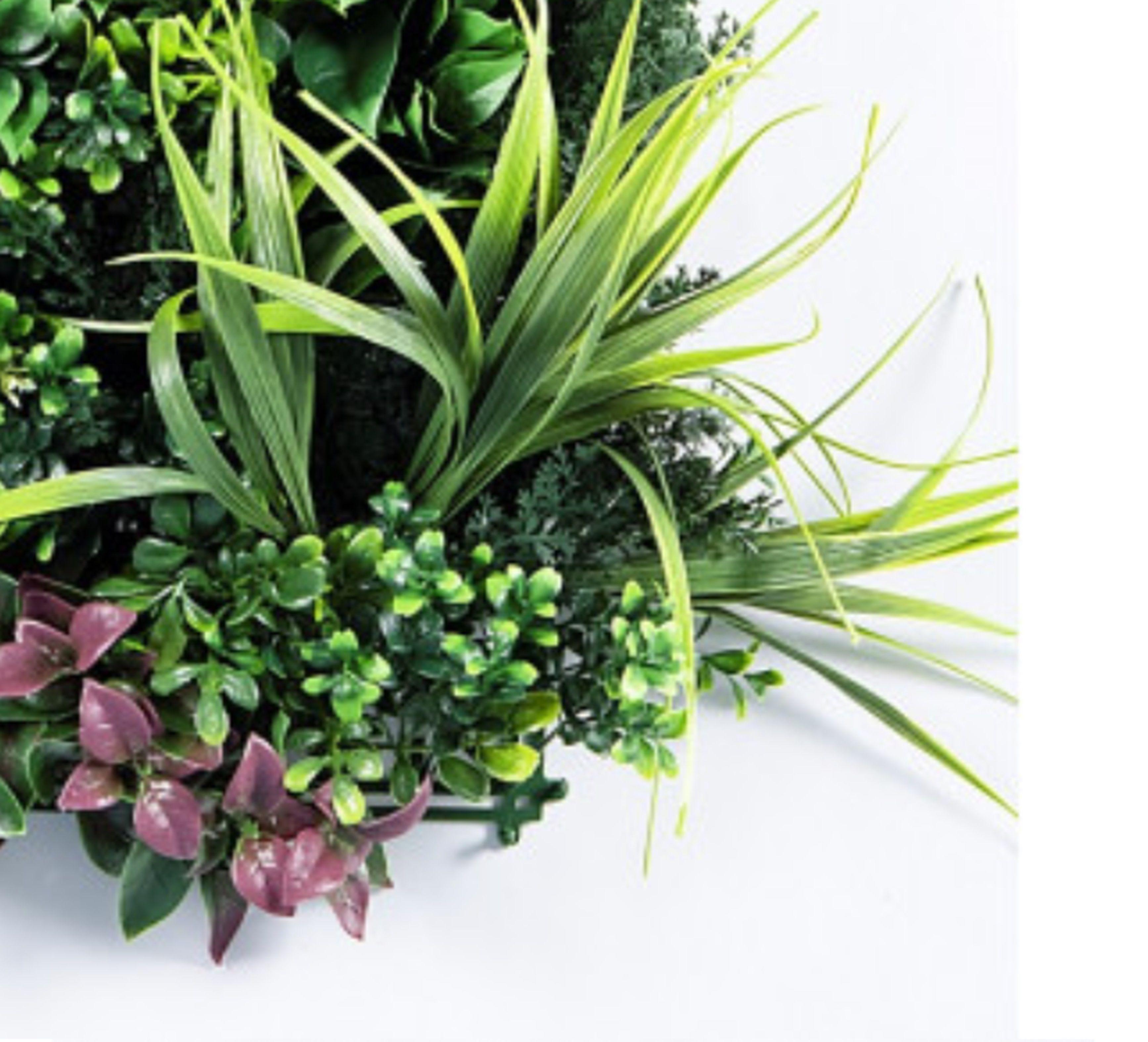 Jardin Vertical Calfulco 50x50 cm Signet-1