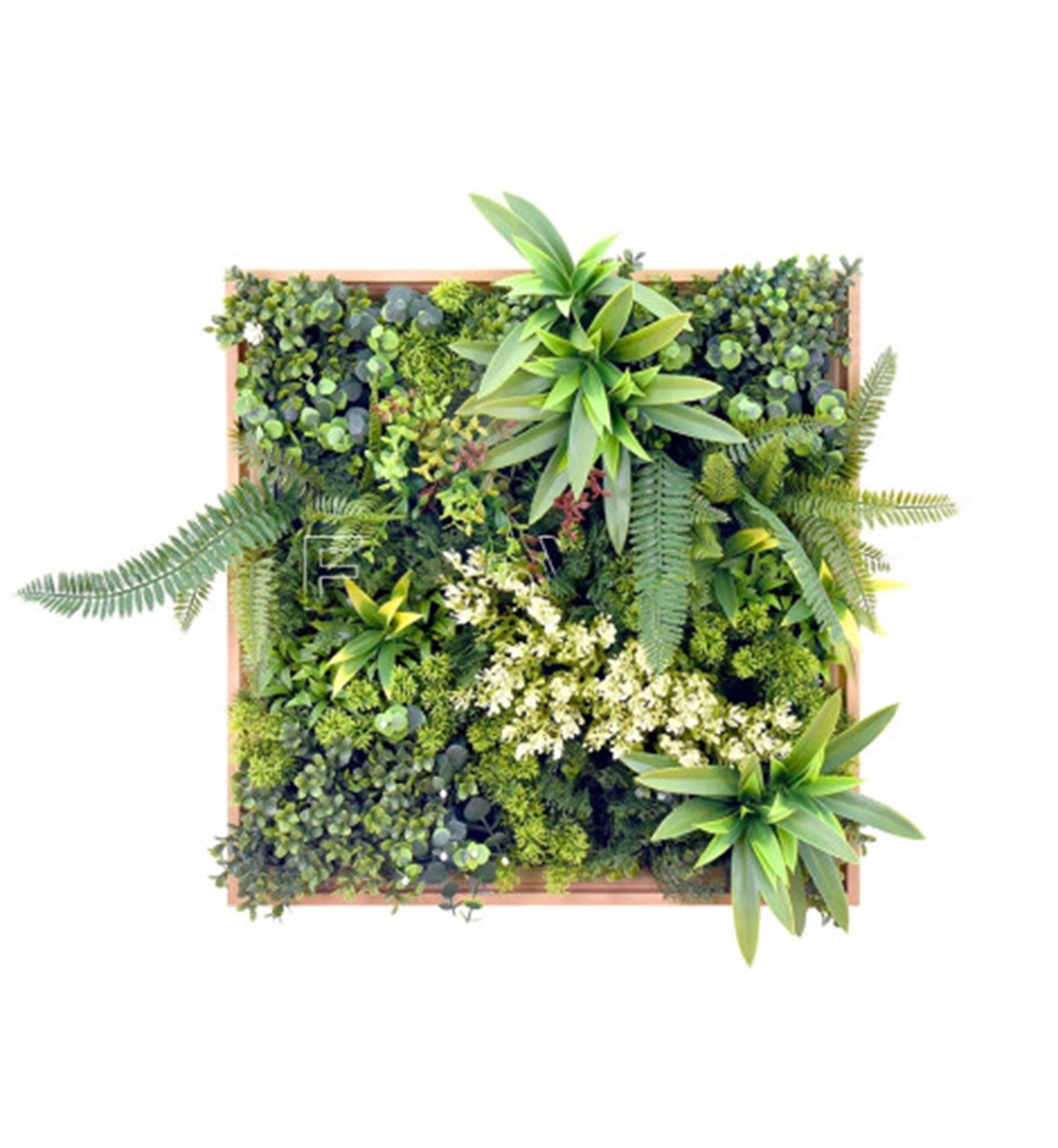 Jardin Vertical Cuadro Irlanda 50x50 cm Signet-0