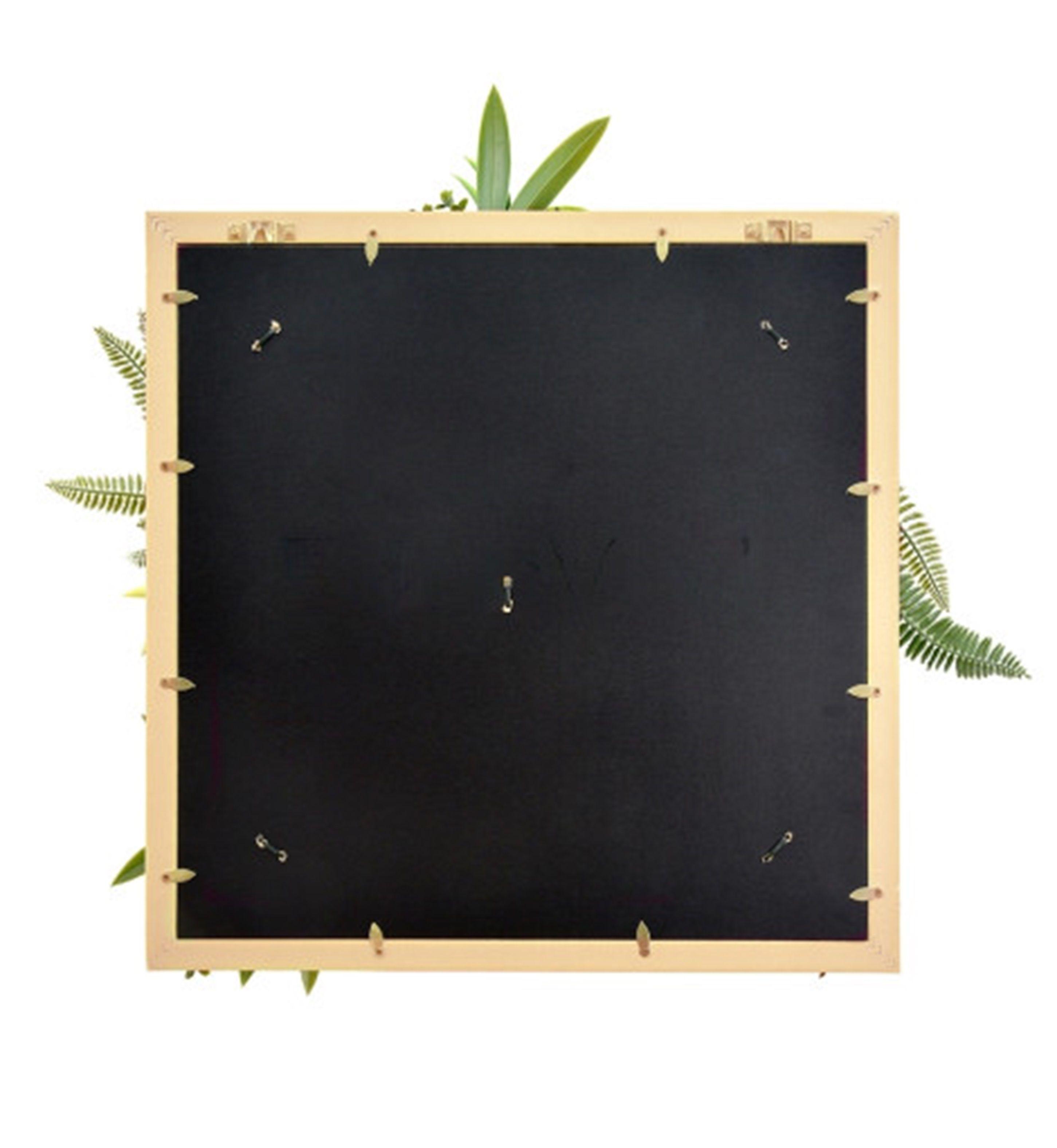Jardin Vertical Cuadro Irlanda 50x50 cm Signet-3