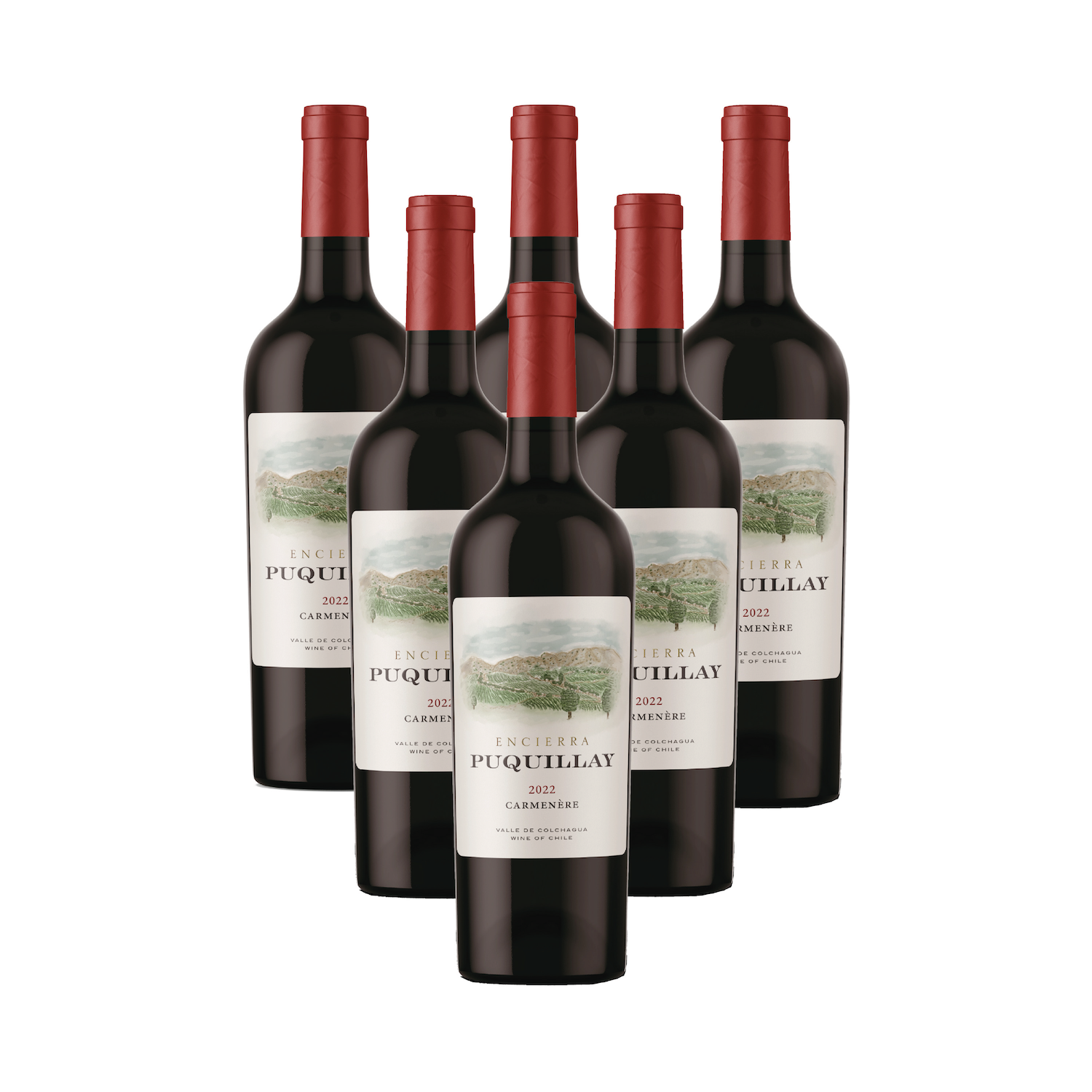 Vino Puquillay Carmenere 2022- 6 Botellas-0