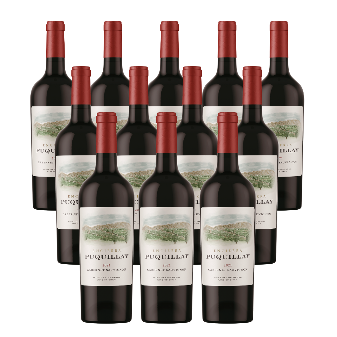 Vino Puquillay Cabernet Sauvignon 2021- 12 Botellas-0