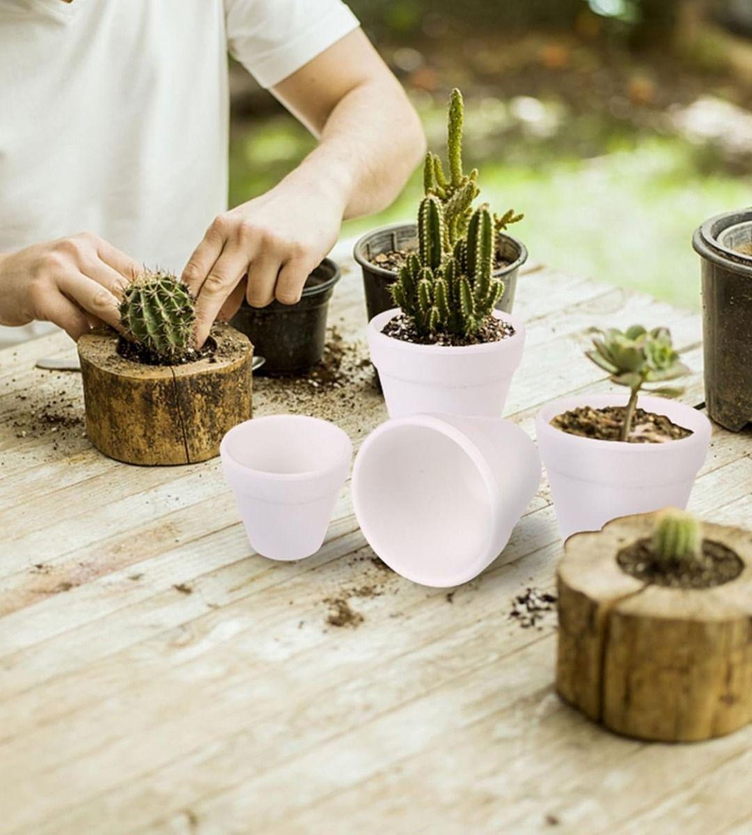 Set 6 Macetero Mini Suculentas Jardinería Cultivo Jhn-4