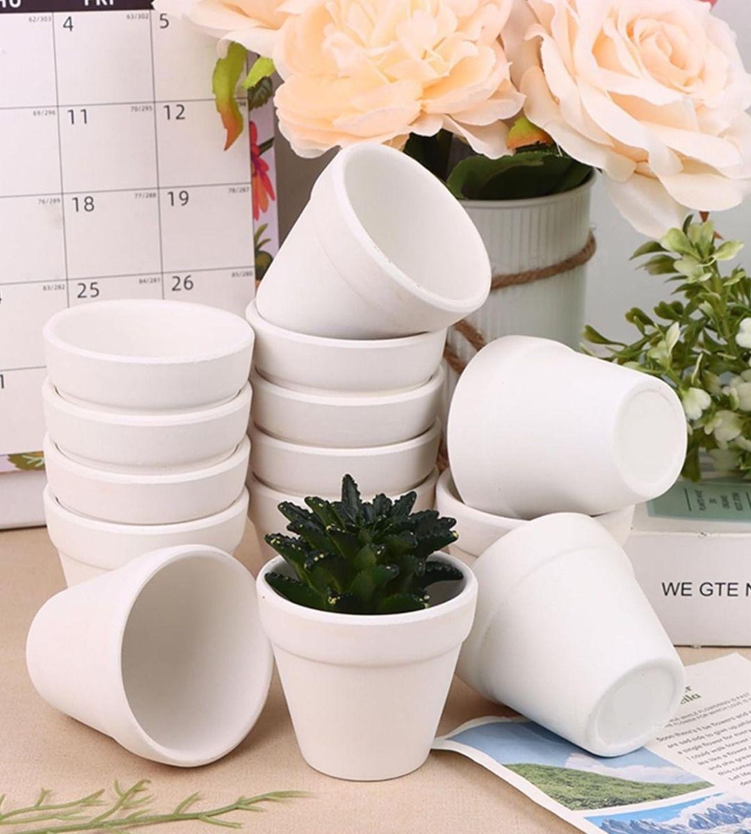 Set 6 Macetero Mini Suculentas Jardinería Cultivo Jhn-7