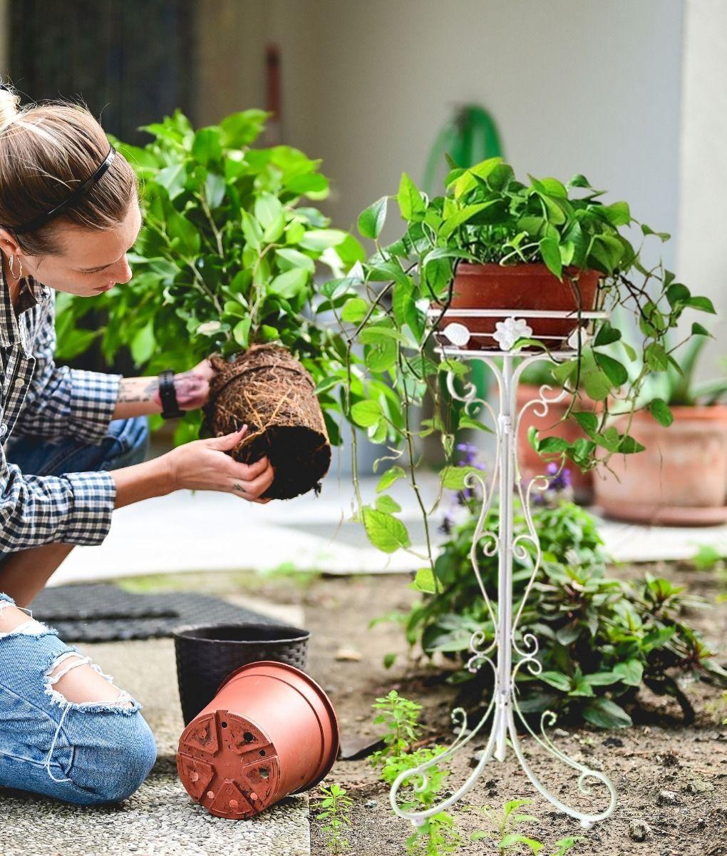 Porta Maceta Soporte Exhibición Multifuncional Hogar Jhn-3