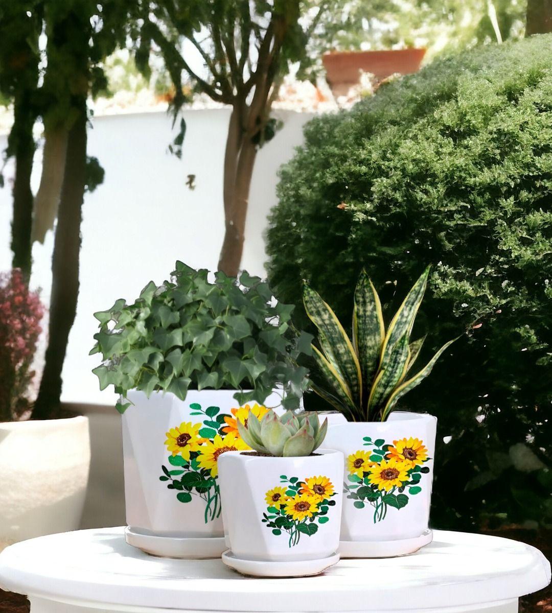 Set 3 Macetas Girasol Cerámica Plantas Jardín Decoración Jhn-6