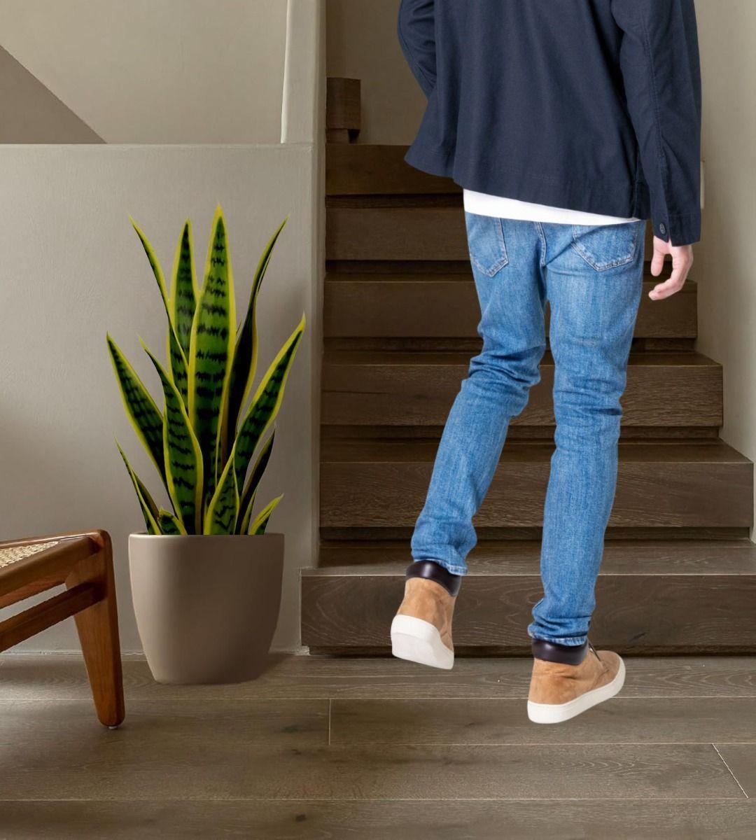 Planta Artificial Decorativa Creativa Maceta Hogar Jhn-4