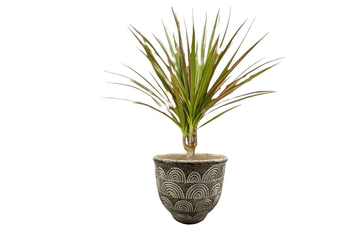Maceta Hormigon Arcilla Plantas Jardin Cesped Adorno Lau-2