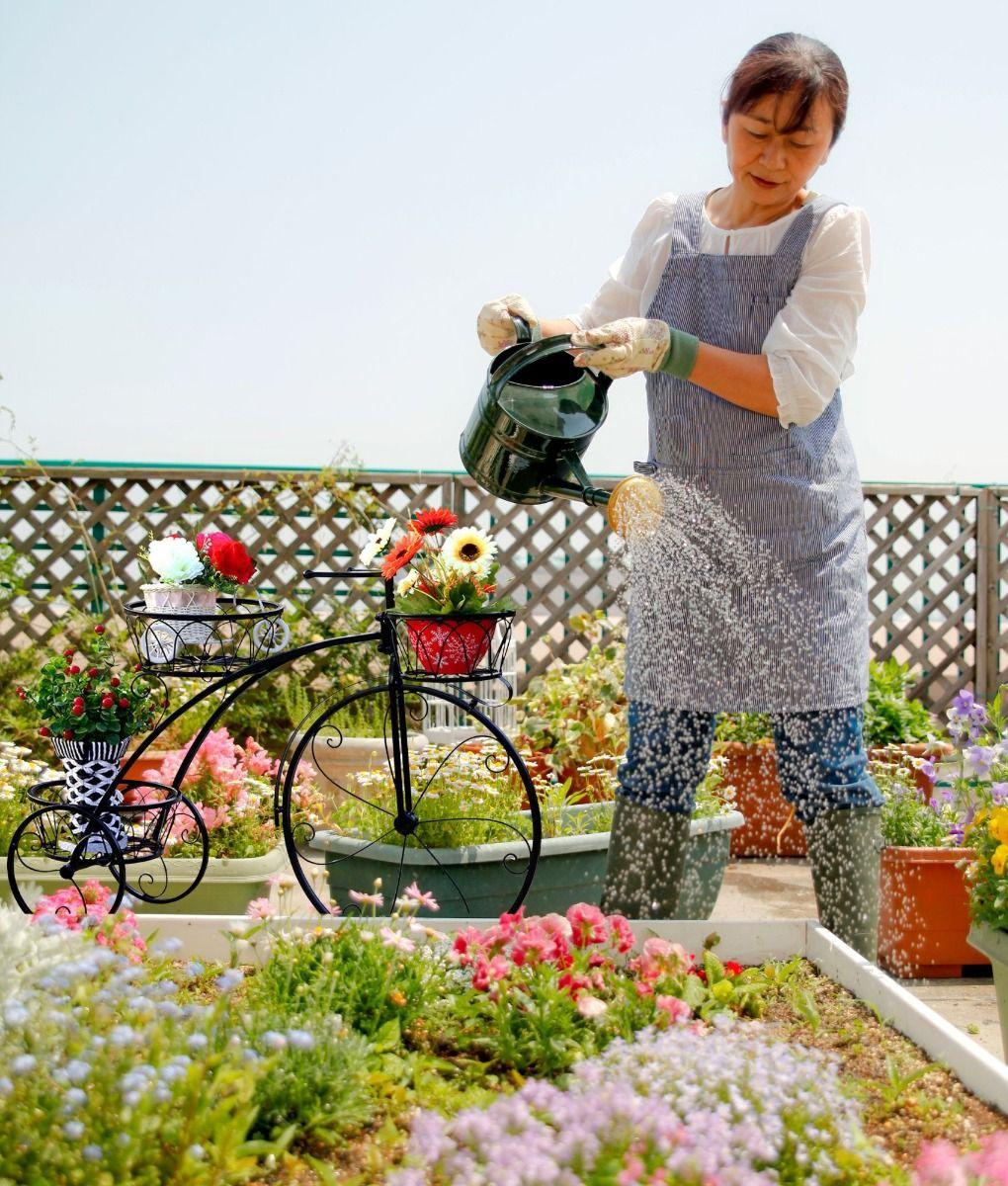 Porta Maceta Soporte Creativo Plantas Bicicleta Triciclo Jhn-3