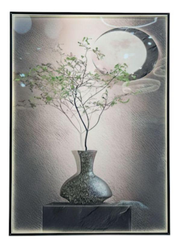 Cuadro Decorativo Pared Naturaleza Luna LED Hogar Jhn-0