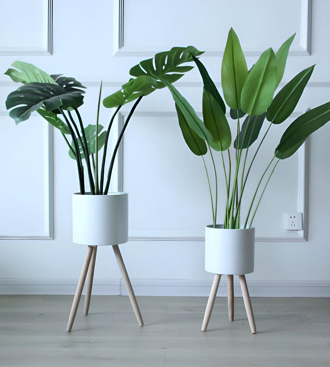 Set Macetas Planta Patas Interior Exterior Flores Blanca Jhn-5