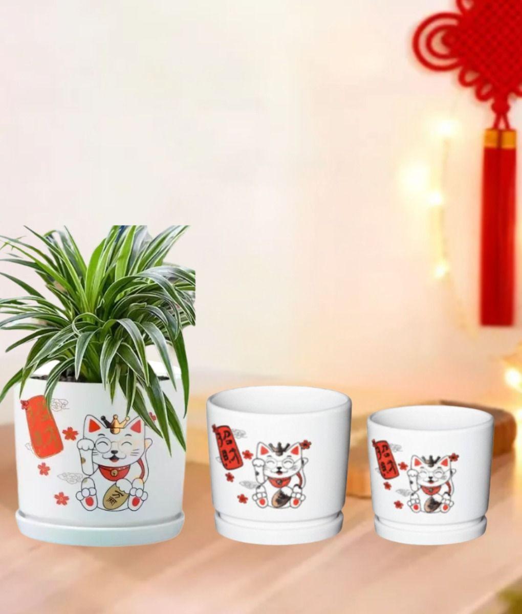Set 3 Macetero Decorativo Diseño Gato Suerte Armonía Jhn-6
