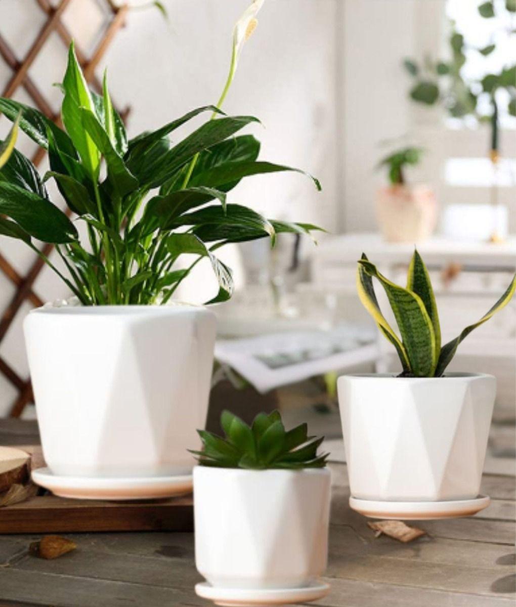 Set 3 Maceta Decorativa Diseño Geométrico Versátil Jhn-7