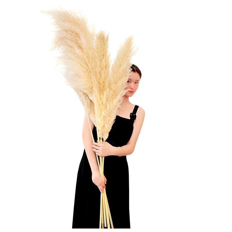 Set 2 Plantas Pampas Artificiales Esponjosa Deco Bohemia Lau-2
