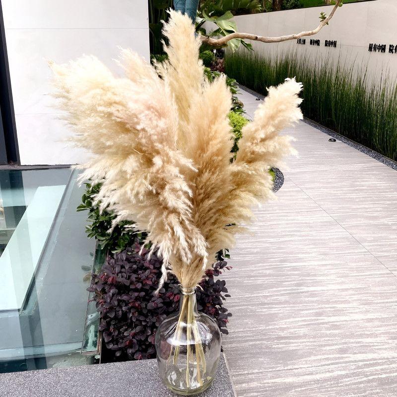 Set 2 Plantas Pampas Artificiales Esponjosa Deco Bohemia Lau-5