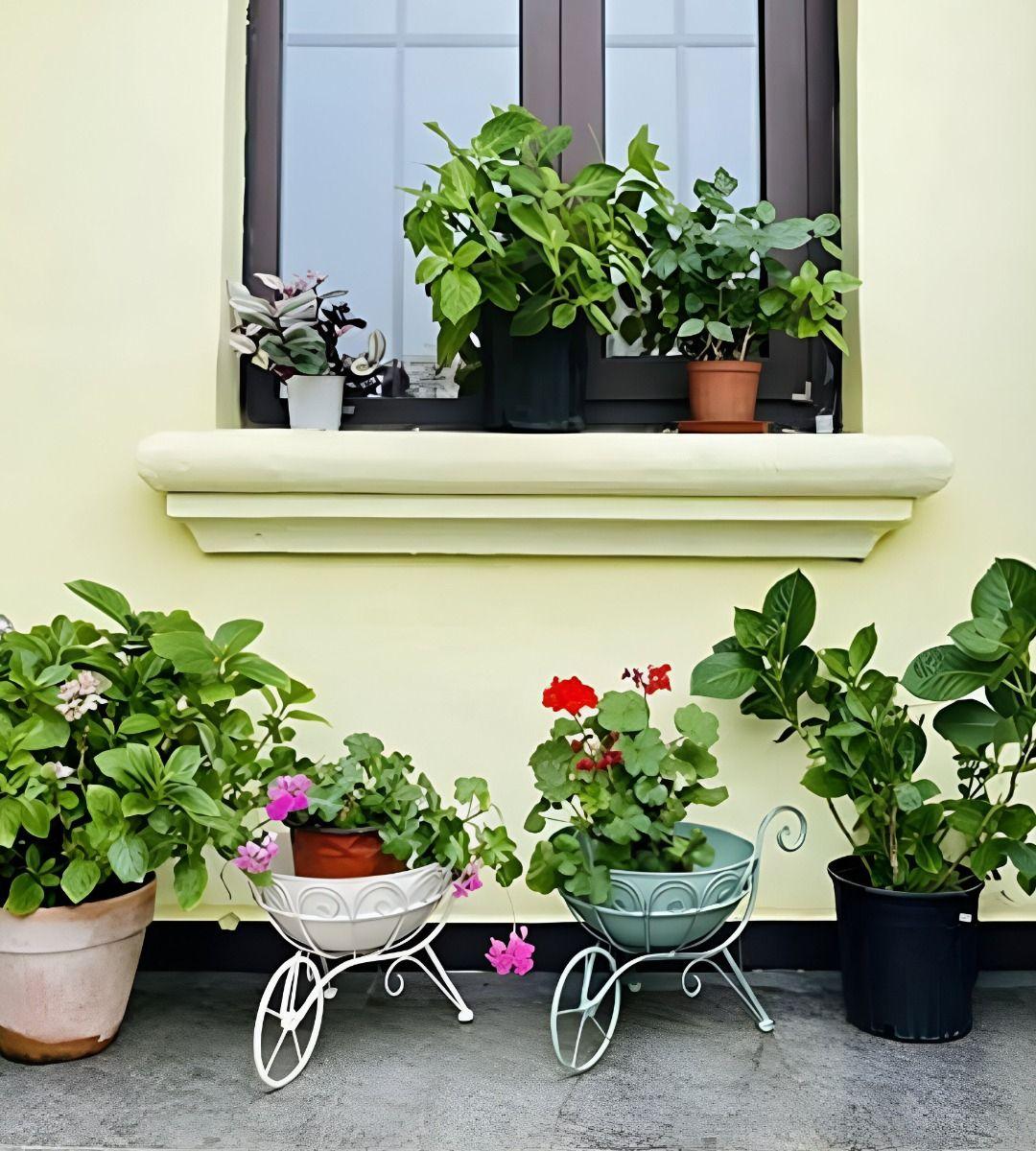 Soporte Macetas Ornamentado Plantas Carretilla Flores Jhn-6
