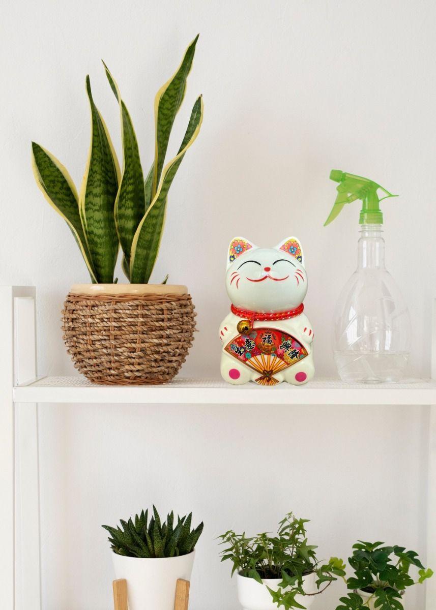 Set 2 Alcancía Gato Suerte Adorno Decoración Hogar Jhn-6