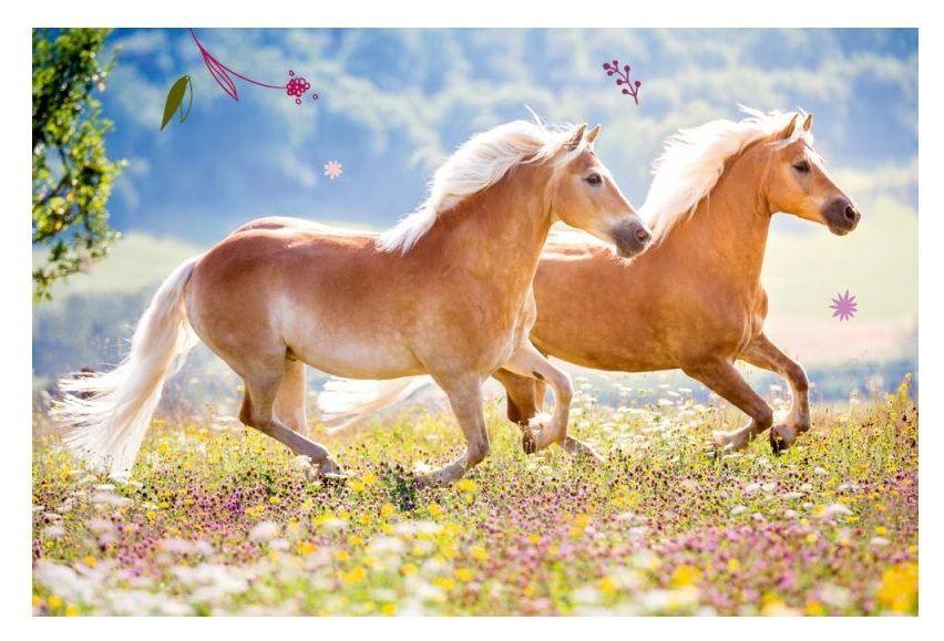 Mini Puzzles Rompecabezas Para Los Amantes De Los Caballos-2