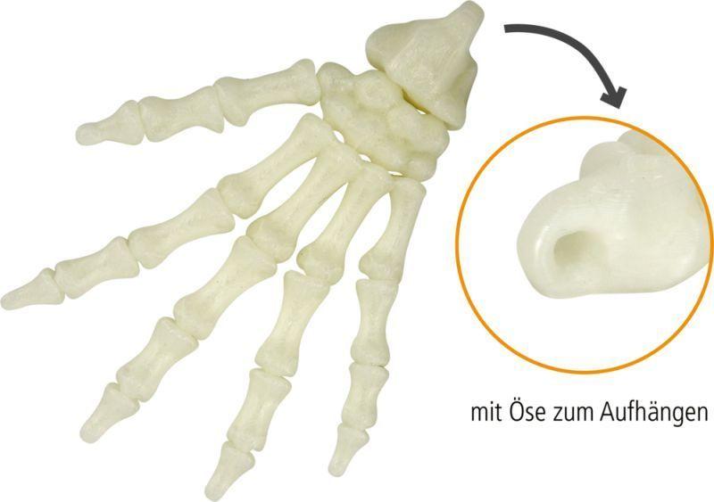 Mano de esqueleto fluorescente terrorifica con practico gancho Wild Cool-2