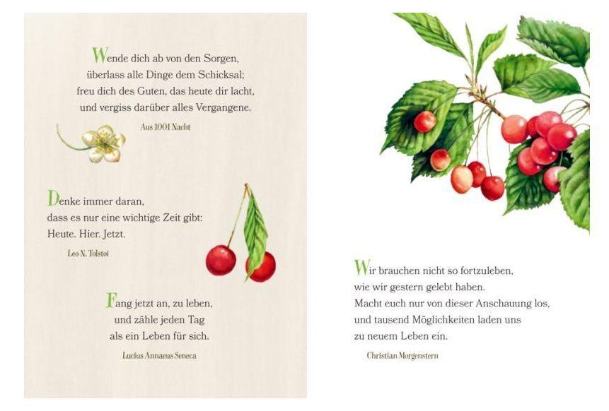 Librito Jeder Tag ist ein Geschenk Cada d a es un regalo Textos en alem n-1
