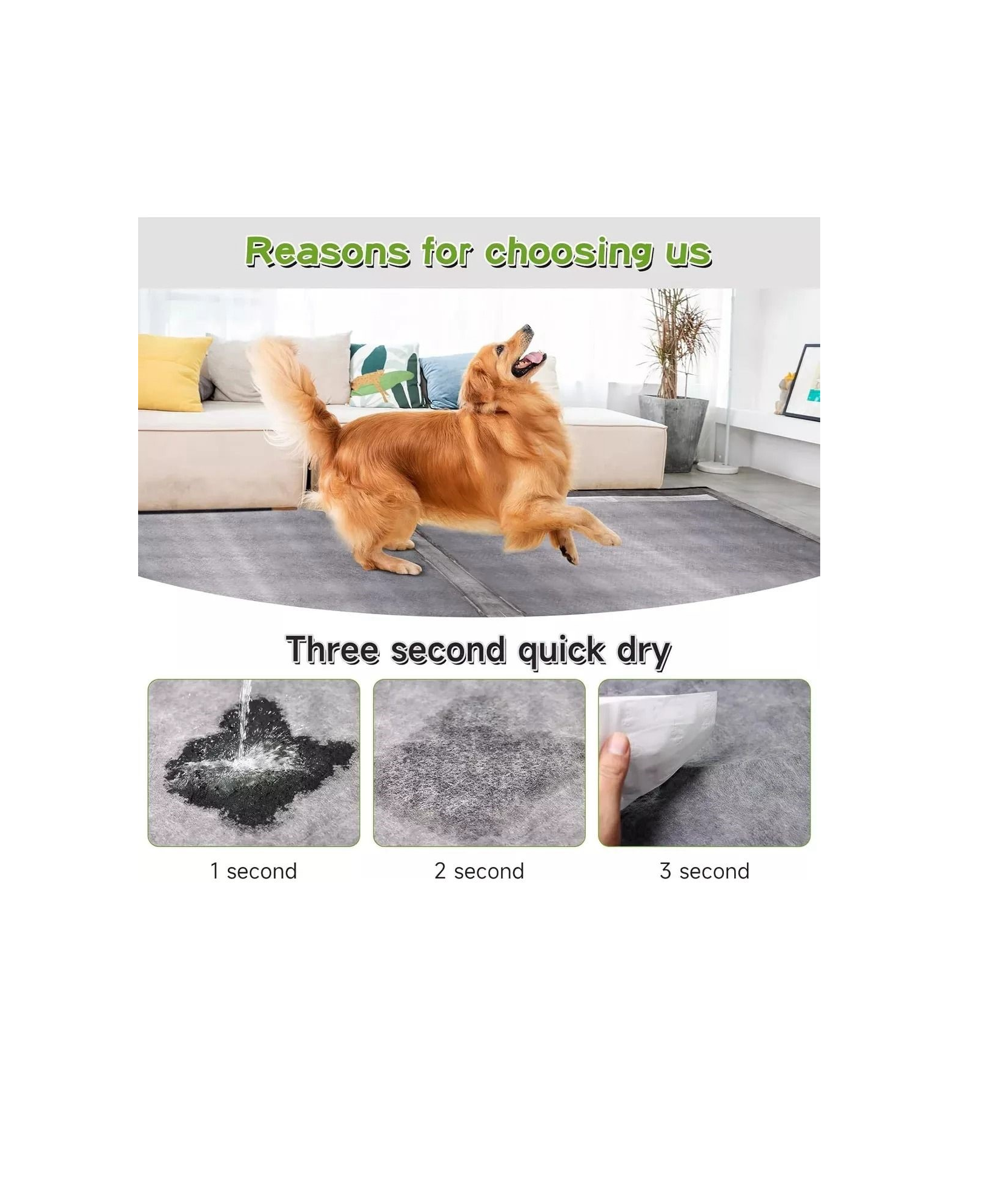 Sabanilla entrenamiento para mascotas Carbon -3