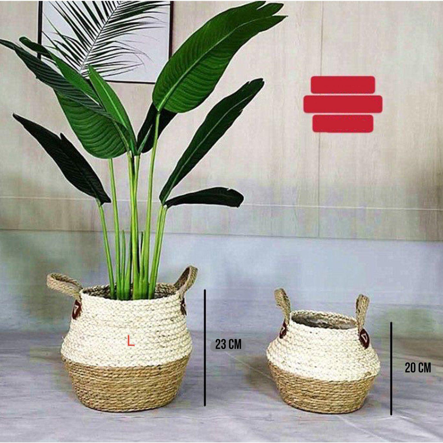 Canastos Cesto Café Fibra Natural S Con Manilla-1