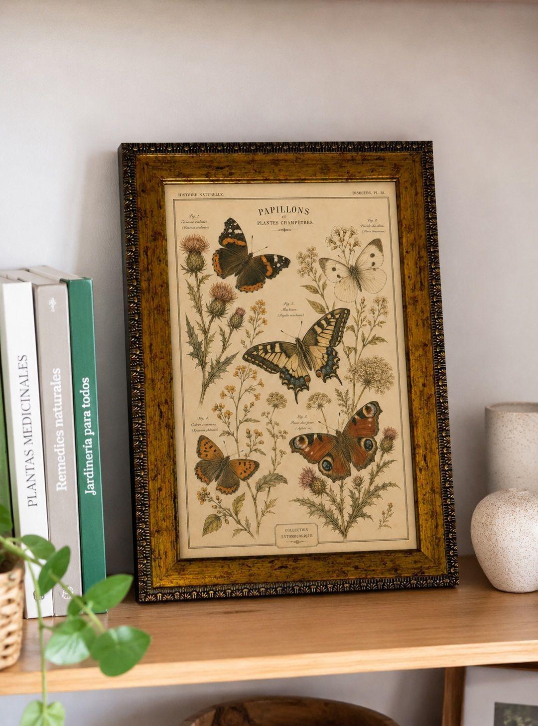 Cuadro Entomológico Vintage “Papillons et Plantes Champêtres” 25x35 cm-1