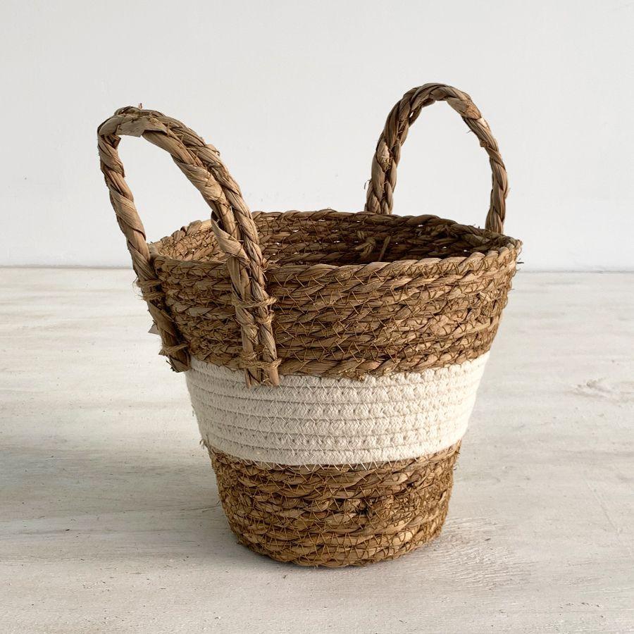 Canasto Bicolor-0